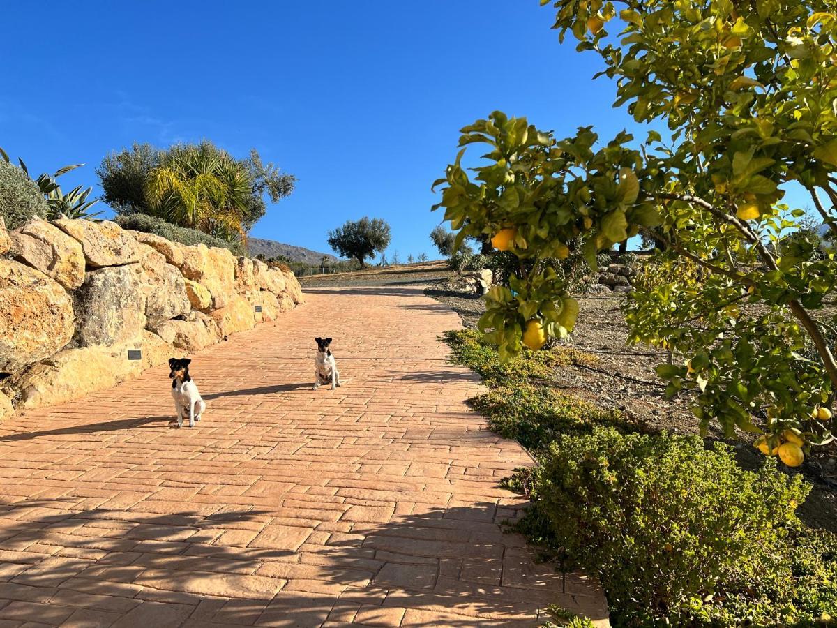 Finca Zayas Casa Rural & Guest Suites Periana Kültér fotó